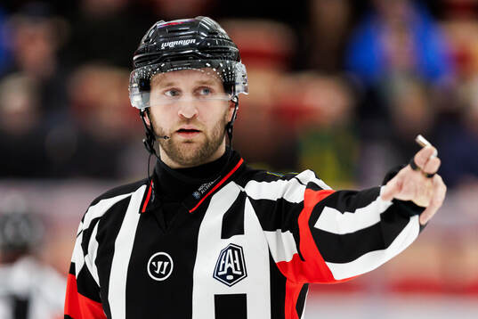 Domare Niklas Johansson