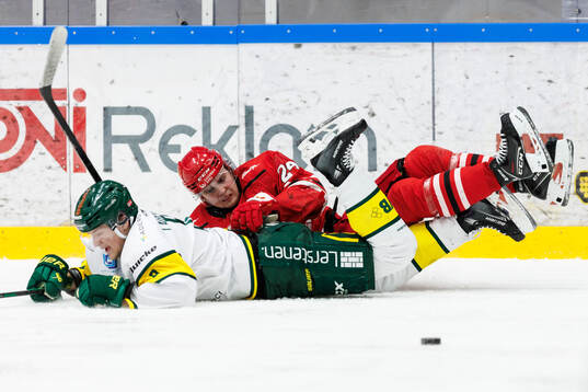 Bläddra bland fler bilder av Ishockey, Hockeyallsvenskan, Almtuna - Björklöven