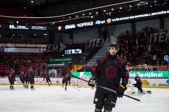 Brynäs Tyler Vesel