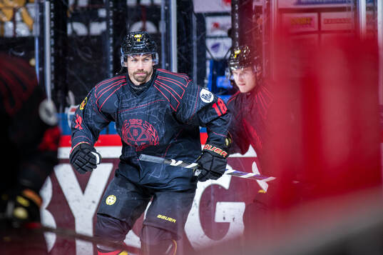 Brynäs Anton Rödin
