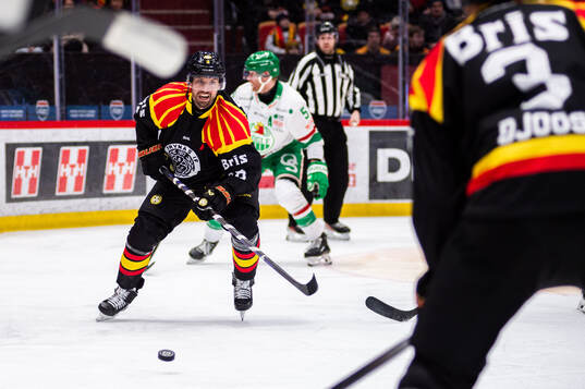 Brynäs Anton Rödin