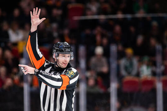 Domare Oscar Niklasson