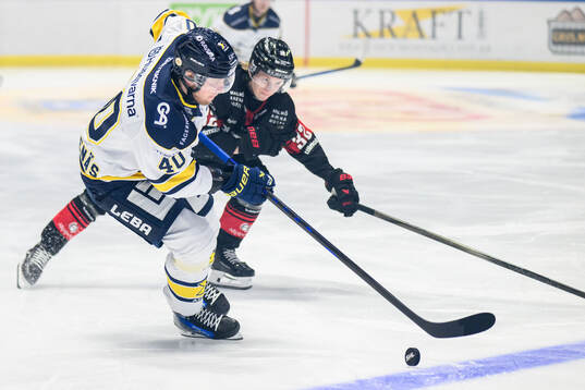 Bläddra bland fler bilder av Ishockey, SHL, Malmö Redhawks - HV71