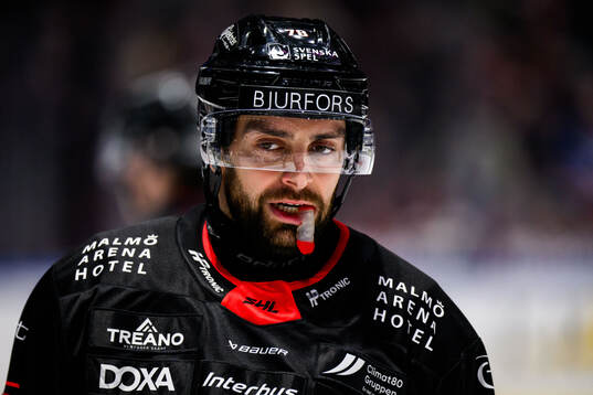 Malmö Redhawks Robin Hanzl deppar