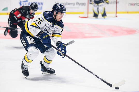 HV71s Radan Lenc