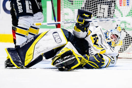 HV71s målvakt Hugo Alnefelt