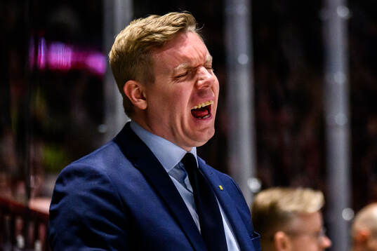HV71s tränare Anton Blomqvist