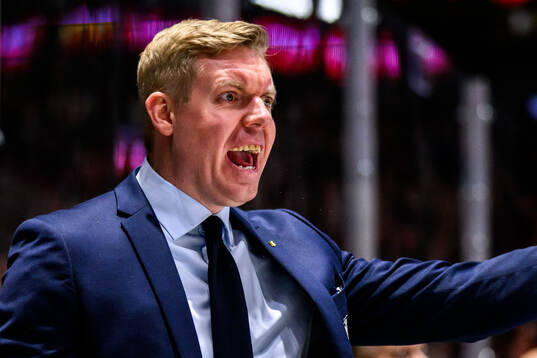 HV71s tränare Anton Blomqvist