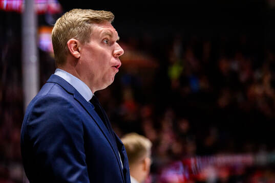 HV71s tränare Anton Blomqvist
