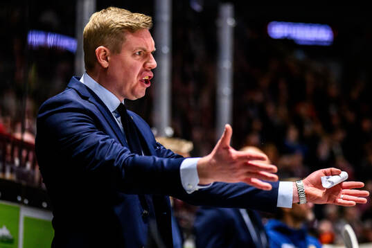 HV71s tränare Anton Blomqvist