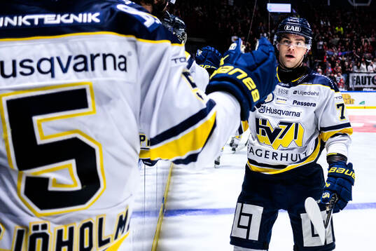 HV71s Radan Lenc jublar