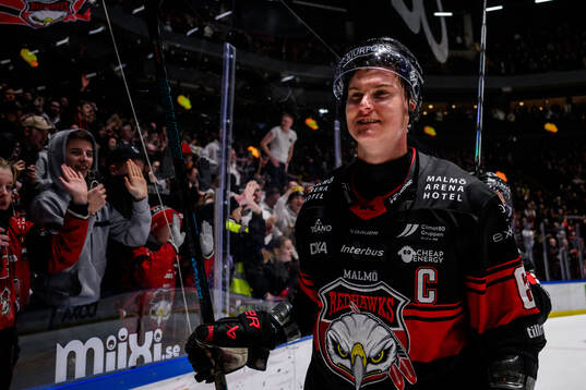Malmö Redhawks Fredrik Händemark jublar