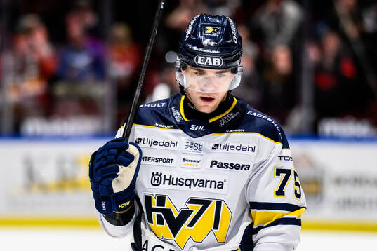 HV71s Radan Lenc deppar