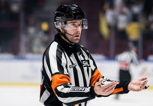 Domare Mikael Sjöqvist