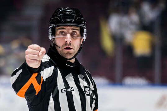 Domare Mikael Sjöqvist