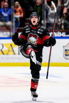 Malmö Redhawks Nikola Pasic jublar
