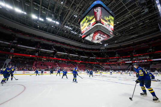 Players of Sweden