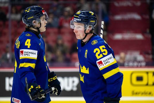 Axel Sandin-Pellikka and Otto Stenberg of Sweden looks
