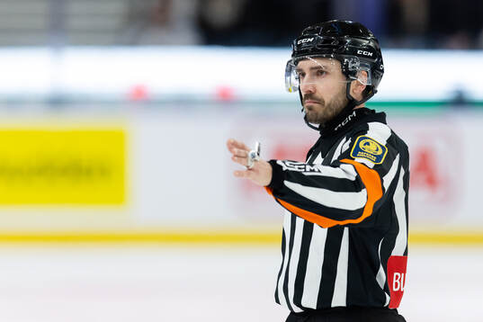 Domare Mattias Enroth