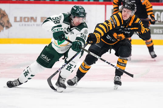 Färjestads Marian Studenic och Skellefteås Michael