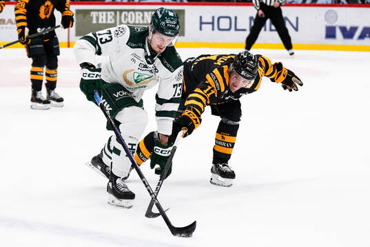 Bläddra bland fler bilder av Ishockey, SHL, Skellefteå - Färjestad
