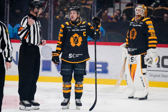 Domare Linus Öhlund och Skellefteås Jonathan Pudas