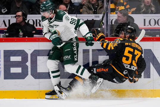 Färjestads Marian Studenic och Skellefteås Luke Witkowski