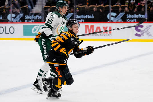Färjestads David Tomasek och Skellefteås Viggo Nordlund