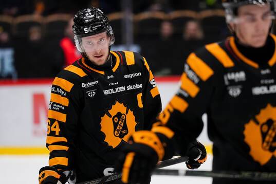 Skellefteås Jonathan Pudas deppar
