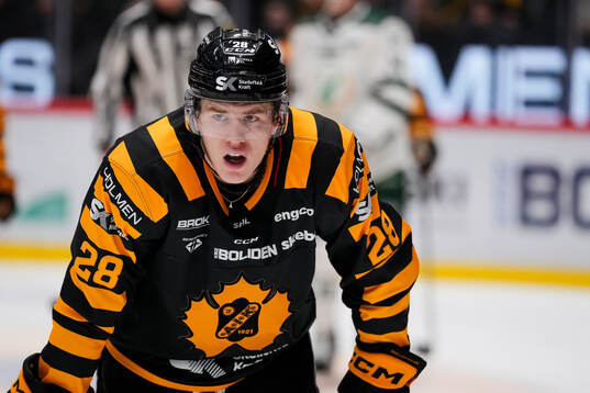 Skellefteås Michael Brandsegg-Nygård