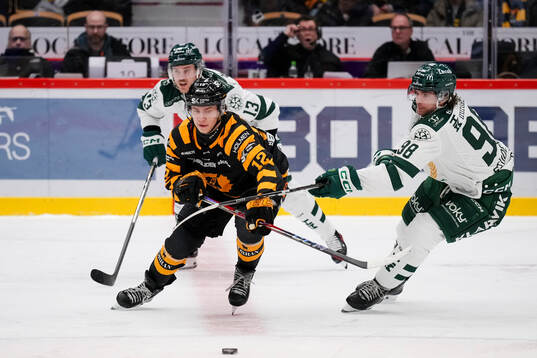 Skellefteås Valter Lindberg och Färjestads Marian Studenic