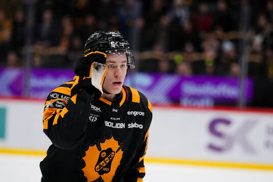 Skellefteås Michael Brandsegg-Nygård deppar