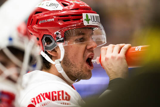 Timrås Filip Hållander