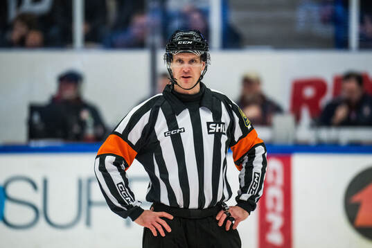 Domare Stefan Leijonklo