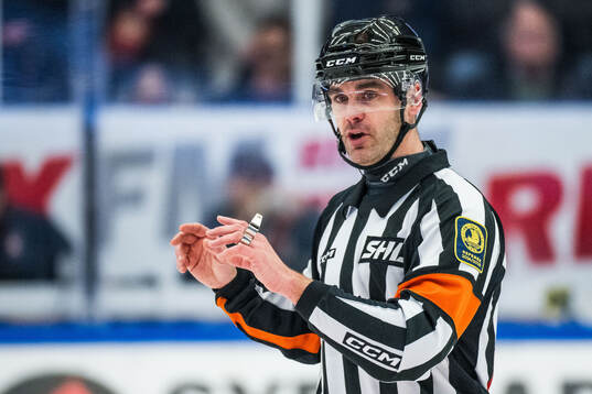 Domare Richard Magnusson