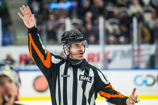 Domare Richard Magnusson