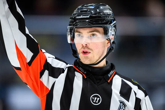 Domare Filip Eriksson