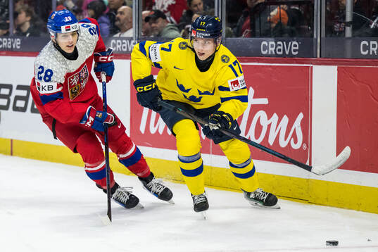 Miroslav Holinka of Czech Republic and Felix Nilsson of
