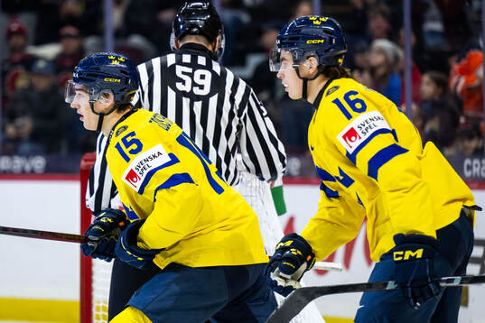 David Edstrom and Felix Unger Sörum of Sweden celebrate