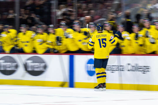 David Edstrom of Sweden celebrates scoring 1-1