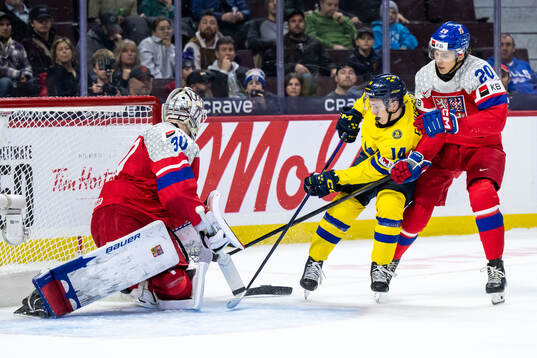 Goaltender Michael Hrabal and Dominik Petr of Czech