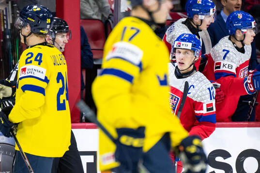 Eduard Sale of Czech Republic celebrates scoring 1-2