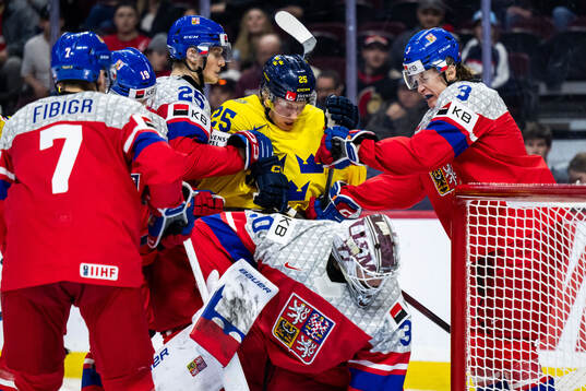 Jiri Felcman, goaltender Michael Hrabal and Vojtech Port of