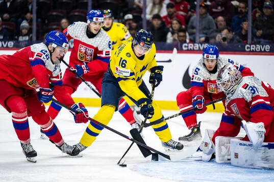 Vojtech Hradec, Adam Jiricek and goaltender Michael Hrabal