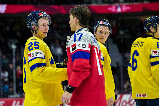 Otto Stenberg of Sweden and Petr Sikora of Czech Republic