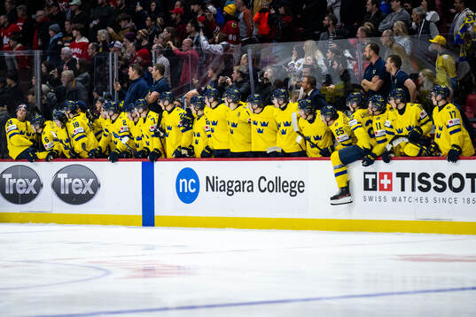Players of Sweden