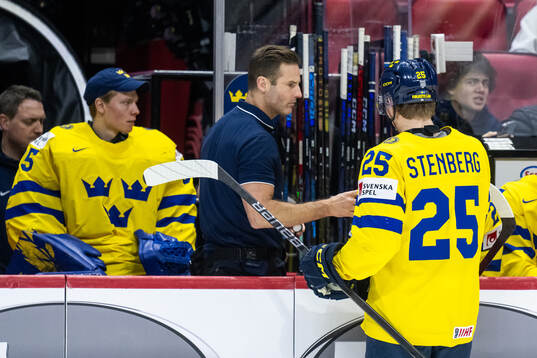 Physiotherapist Henrik Nilsson of Sweden