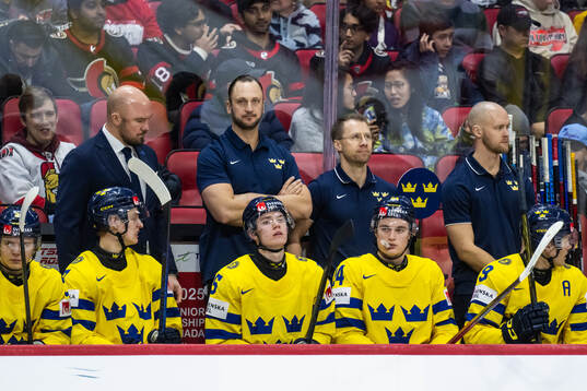 Assistant coach Nicklas Grossmann, Medical doctor Robin