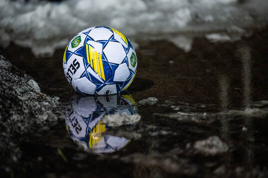 En fotbollsboll