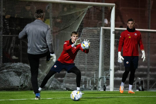 Helsingborgs målvakt Emil Rådahl och målvakt Johan
